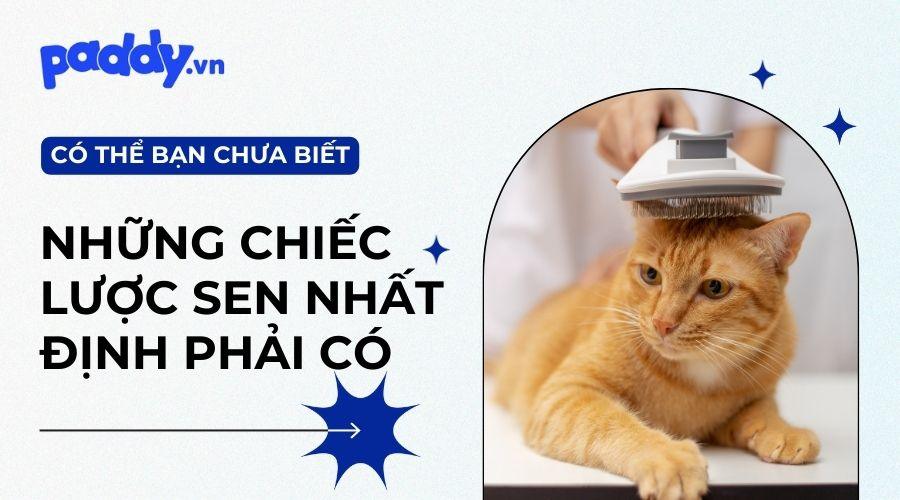 Top 7 Lược chải lông chó mèo gỡ rối, giảm rụng lông - Paddy Pet Shop