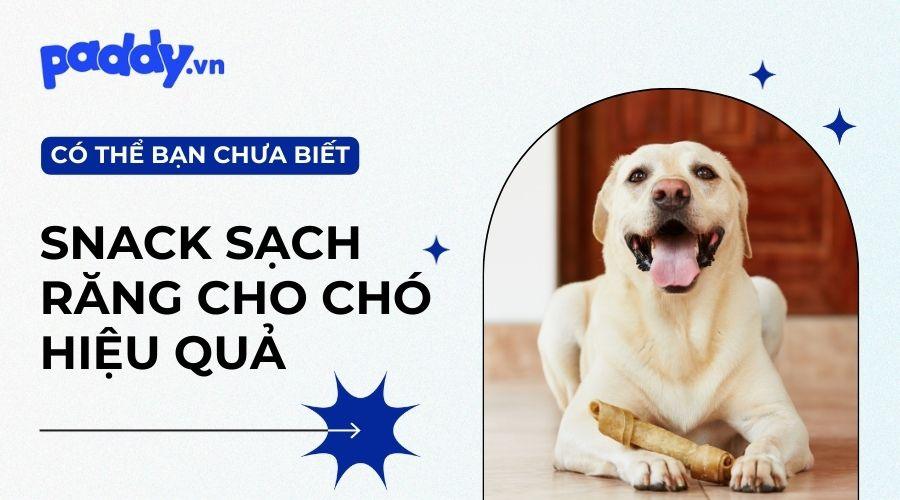 Top 12 xương gặm cho chó bổ sung canxi, sạch răng, thơm miệng - Paddy Pet Shop