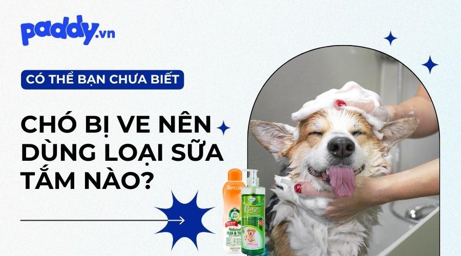 Top 5 sữa tắm trị ve cho chó hiệu quả, an toàn nhất - Paddy Pet Shop