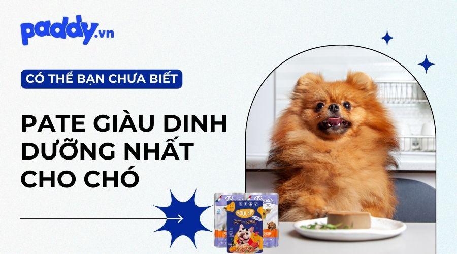 Top 12 loại pate cho chó giàu dinh dưỡng nhất hiện nay - Paddy Pet Shop