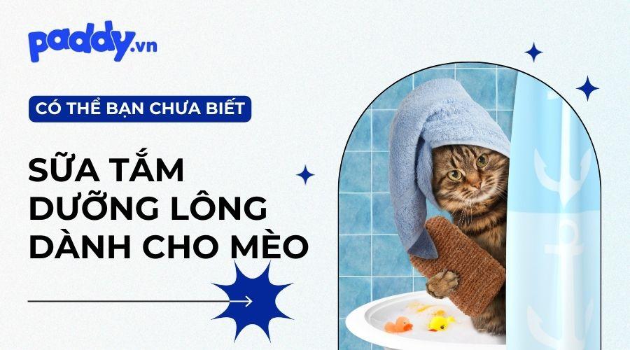 Top sữa tắm cho mèo khử mùi tốt, hương thơm lâu - Paddy Pet Shop