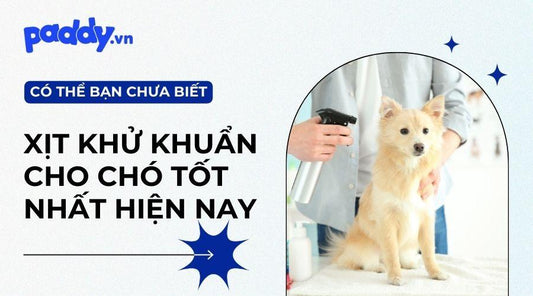 Top 8 sản phẩm xịt khử mùi diệt khuẩn cho chó tốt nhất hiện nay - Paddy Pet Shop