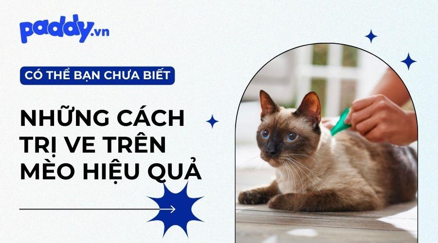 Top 10 các loại thuốc trị ve cho mèo tốt nhất hiện nay - Paddy Pet Shop