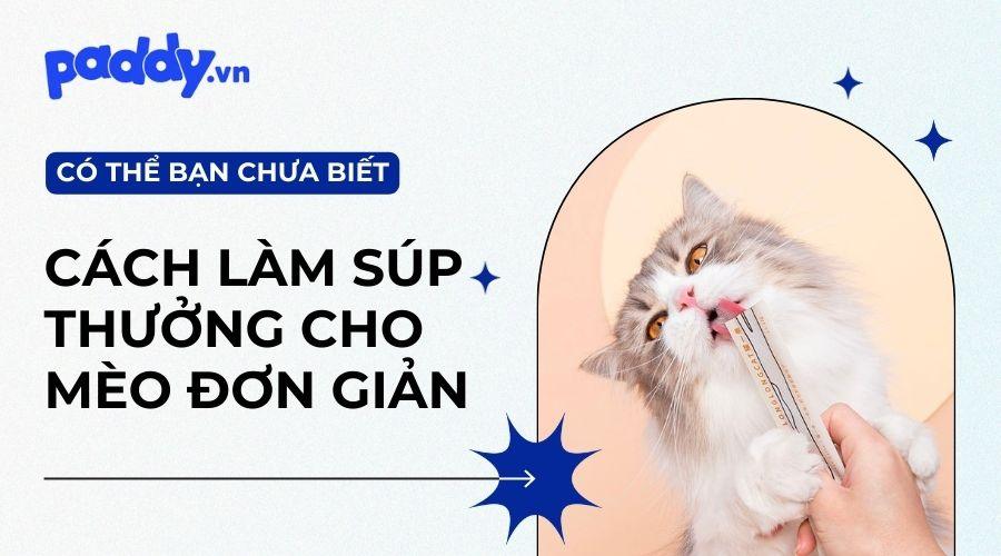 Cách Làm Súp Thưởng Cho Mèo Ngon Và Giàu Dinh Dưỡng - Paddy Pet Shop