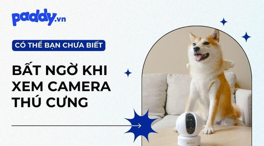 Camera Thú Cưng Mang Lại Lợi Ích Gì? - Paddy Pet Shop