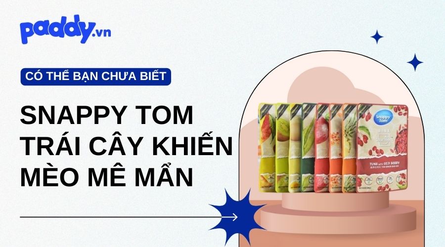 Pate Snappy Tom Trái Cây Có Gì Mà Khiến Mèo Mê Mẩn - Paddy Pet Shop