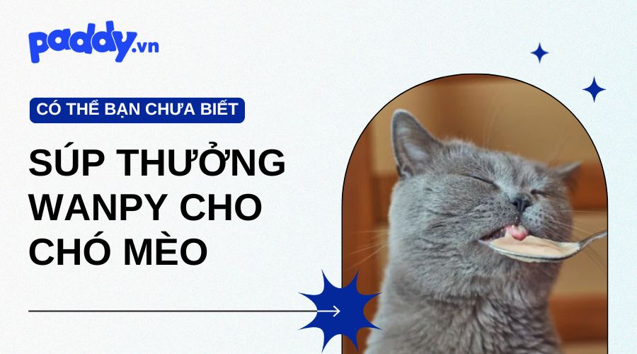 Súp thưởng wanpy cho chó mèo