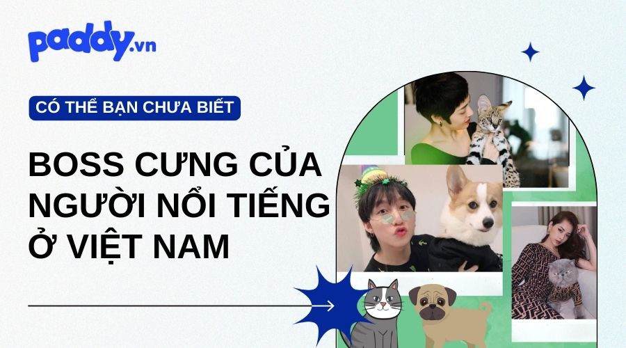 Thú Cưng Của Người Nổi Tiếng Ở Việt Nam