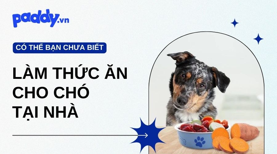 Cách Làm Thức Ăn Cho Chó Đơn Giản Tại Nhà - Paddy Pet Shop