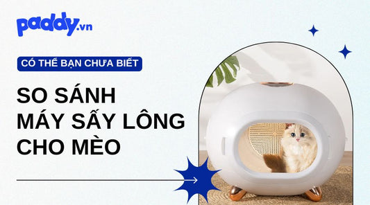 So Sánh Các Dòng Máy Sấy Lông Cho Mèo Tốt Nhất Hiện Nay - Paddy Pet Shop