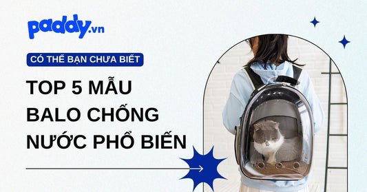 Có nên mua các loại balo thú cưng chống nước? Top 5 mẫu balo chống nước được ưa chuộng nhất hiện nay