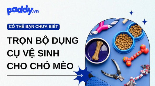 Trọn Bộ Dụng Cụ Vệ Sinh Không Thể Thiếu Cho Chó Mèo