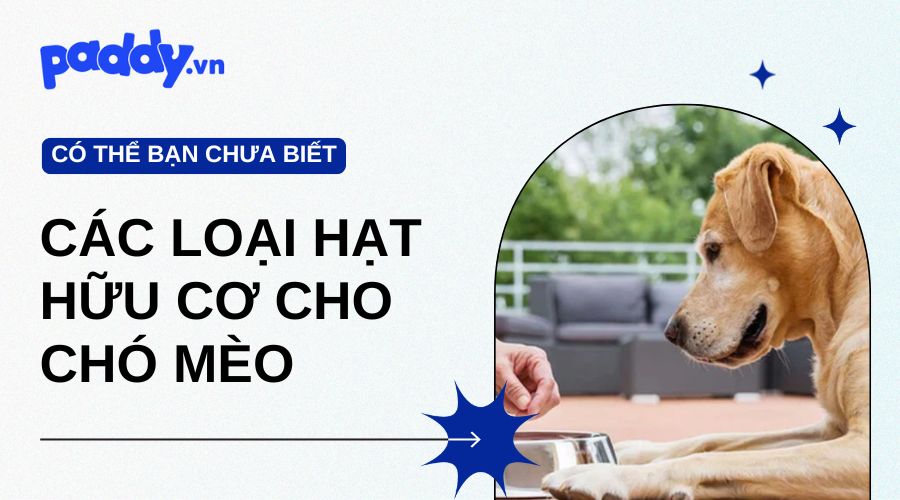 Các Loại Hạt Hữu Cơ Cho Chó Mèo