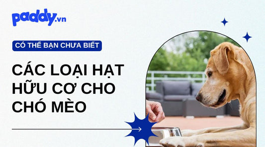 Các Loại Hạt Hữu Cơ Cho Chó Mèo