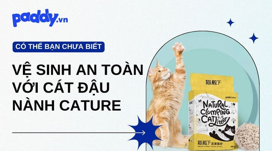 Cát Đậu Nành Cature: Giải Pháp Vệ Sinh Dành Cho Thú Cưng - Paddy Pet Shop