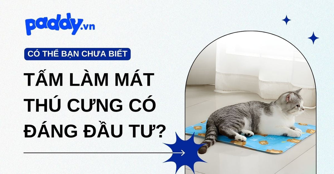Tấm làm mát cho thú cưng vào mùa nóng có đáng để đầu tư không?