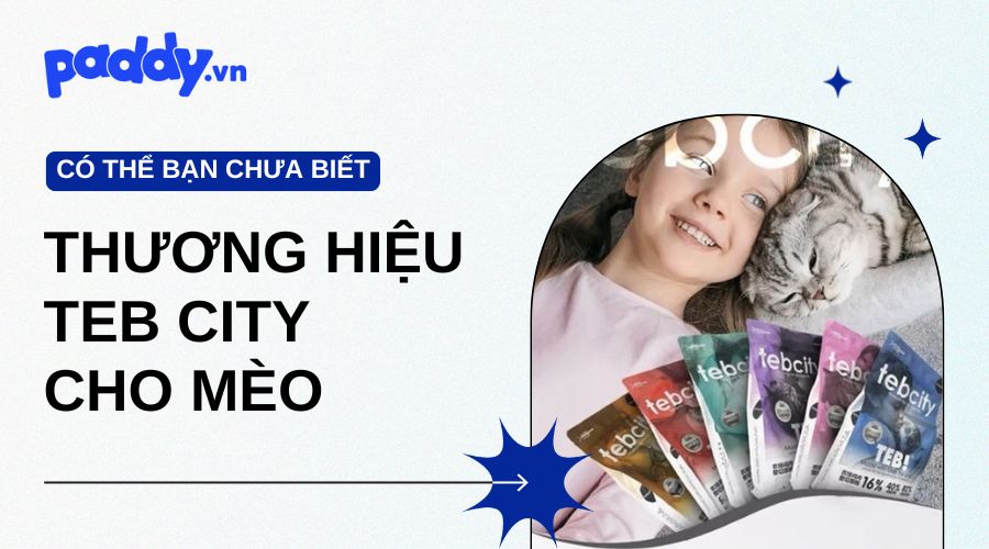 Thức Ăn Hạt Mèo Teb City Mix Nhiều Vị