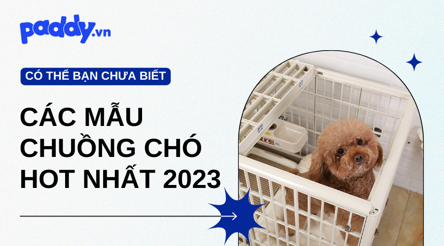 Các Mẫu Chuồng Chó Hot Nhất Năm 2023 - Paddy Pet Shop