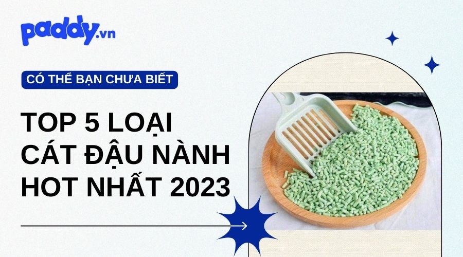 Top 5 Loạt Cát Đậu Nành Cho Mèo Bán Chạy Nhất 2023 - Paddy Pet Shop