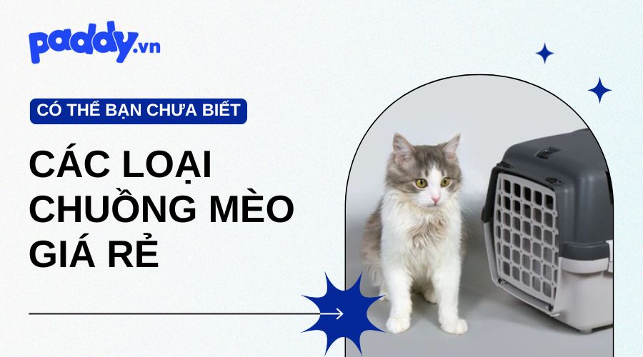 Các loại chuồng nuôi mèo giá rẻ