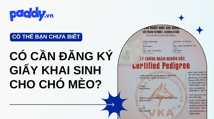 Có Cần Đăng Ký Giấy Khai Sinh Cho Chó Mèo Không?
