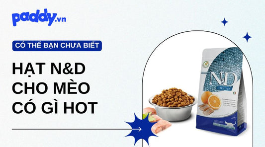 Hạt N&D Có Gì Mà Cháy Hàng Liên Tục - Paddy Pet Shop