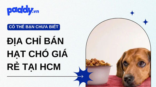Địa chỉ bán hạt chó giá rẻ tại HCM - Giá cả cạnh tranh, chất lượng hàng đầu