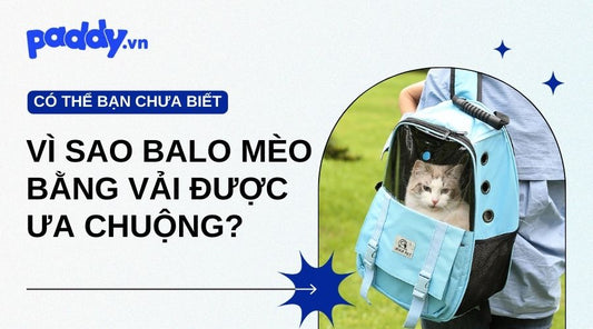 Vì Sao Balo Đựng Mèo Bằng Vải Được Ưa Chuộng Nhất? - Paddy Pet Shop