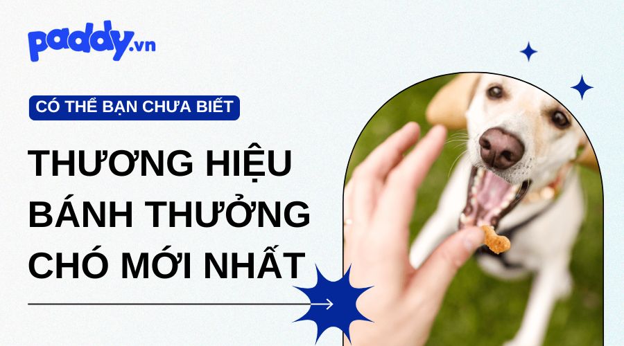 Các loại thương hiệu bánh thưởng chó mới nhất và lợi ích tuyệt vời
