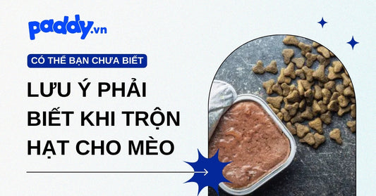 Các lưu ý quan trọng bạn nhất định phải biết khi trộn hạt cho mèo
