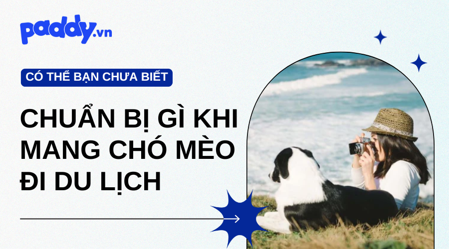 nên chuẩn bị gì khi mang chó mèo du lịch