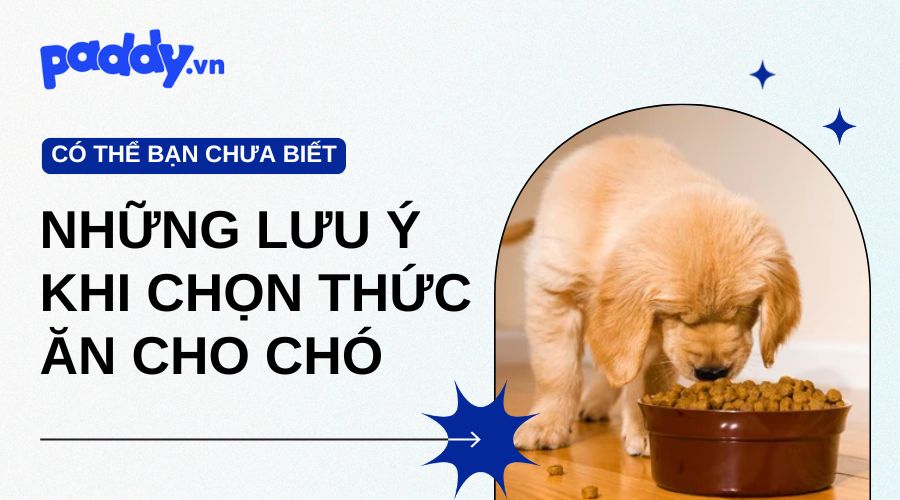 Những Lưu Ý Khi Chọn Thức Ăn Cho Chó