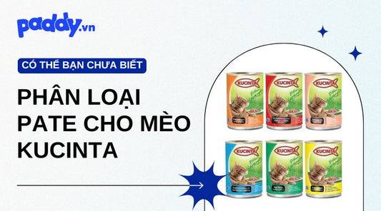 Phân loại các dòng pate cho mèo Kucinta