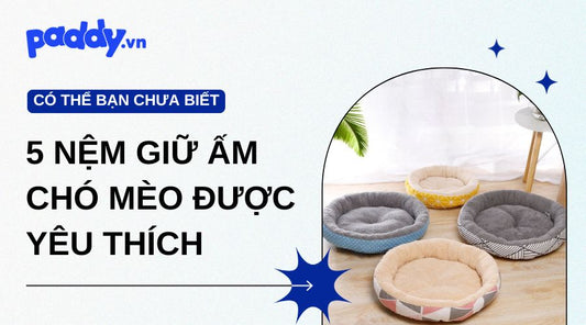Top 5 loại ổ nệm giữ ấm cho chó mèo được yêu thích hiện nay