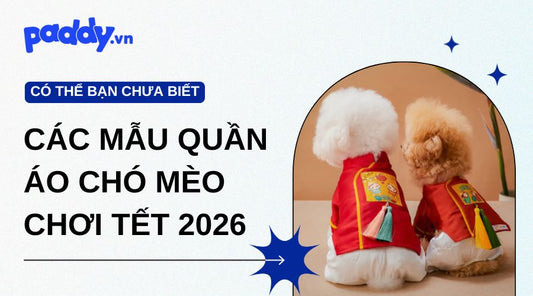 Các Mẫu Quần Áo Chó Mèo Chơi Tết 2026 Nổi Bật