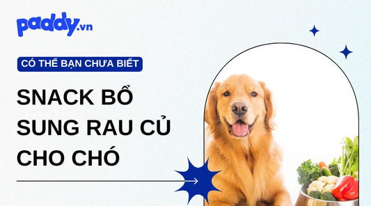Snack bổ sung rau củ cho chó - Giải pháp bảo vệ sức khoẻ
