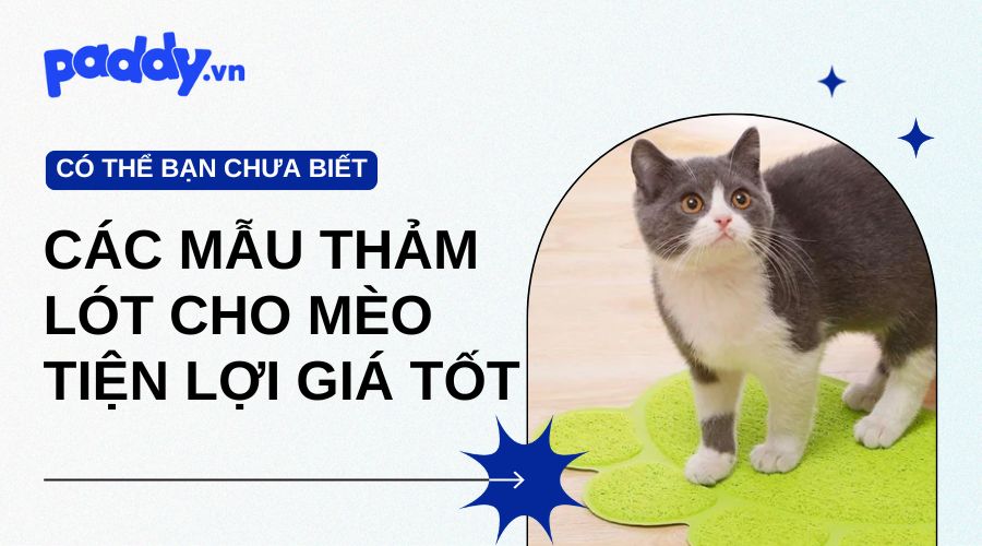 thảm lót cho mèo