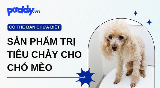 Những sản phẩm trị tiêu chảy cho chó mèo hiệu quả