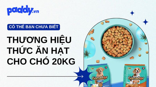 thức ăn hạt cho chó bao 20kg