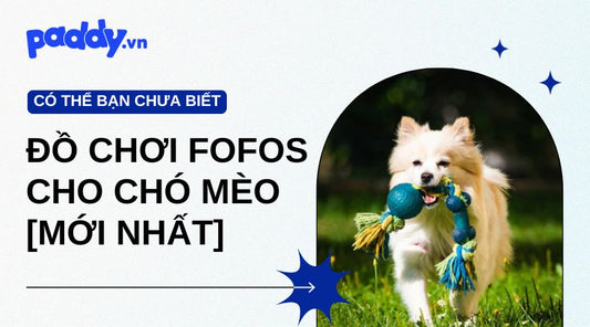 Dòng đồ chơi fofos cho chó mèo