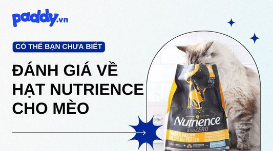 Nguồn Gốc, Thành Phần Và Đánh Giá Về Hạt Nutrience Cho Mèo - Paddy Pet Shop