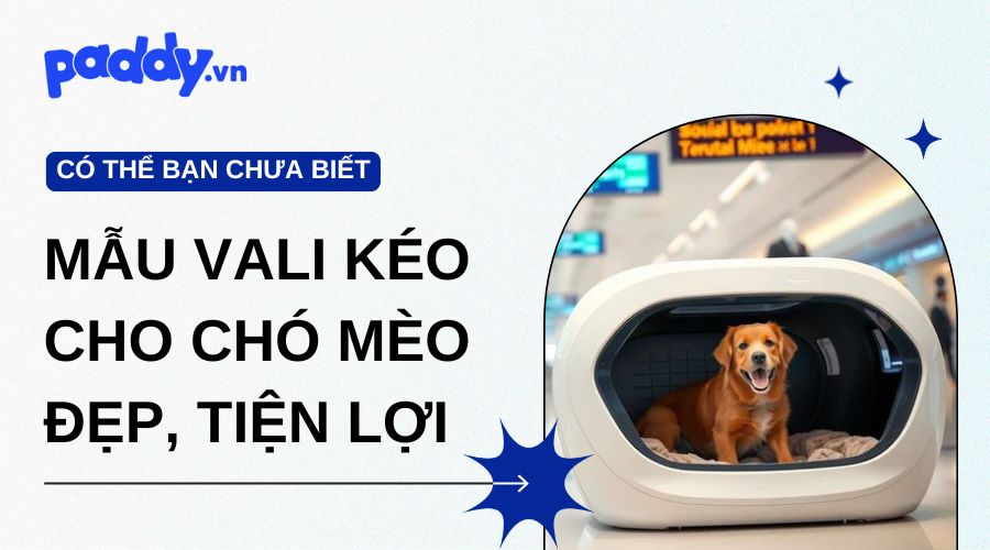 Những mẫu vali kéo cho chó mèo đẹp, tiện lợi nhất 2025