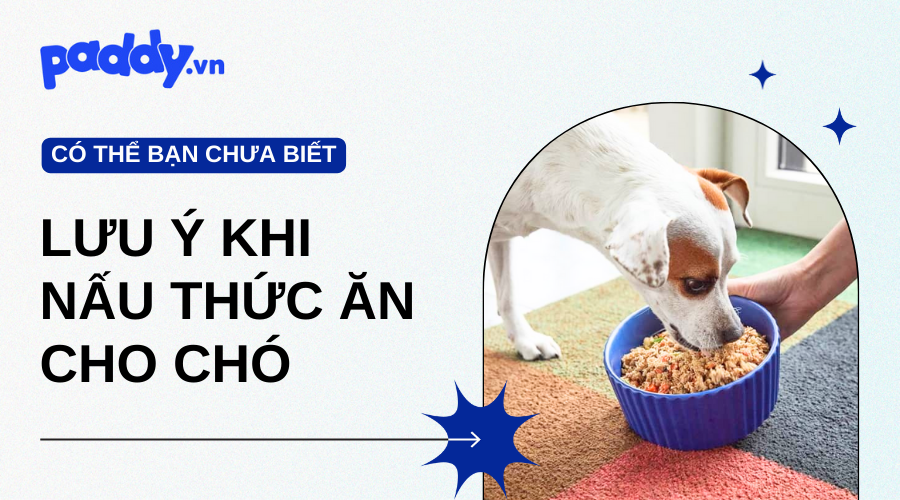 Nấu Thức Ăn Cho Chó Tại Nhà Cần Lưu Ý Những Gì? - Paddy Pet Shop