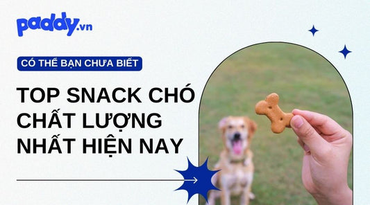 Snack Cho Chó Chất Lượng Nhất Hiện Nay - Paddy Pet Shop