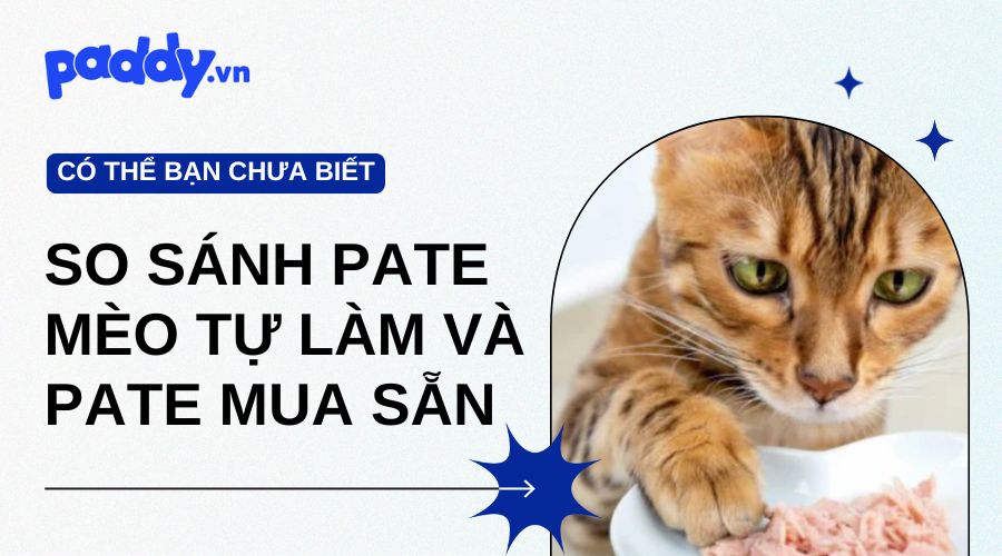 So sánh pate cho mèo tự làm và pate mua sẵn