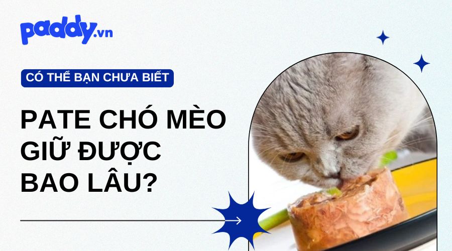 Pate Chó Mèo Có Thể Giữ Được Bao Lâu?