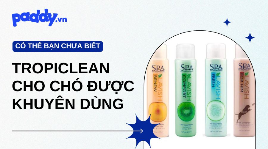 Sữa Tắm Tropiclean Được Các Chuyên Gia Thú Y Khuyên Dùng - Paddy Pet Shop