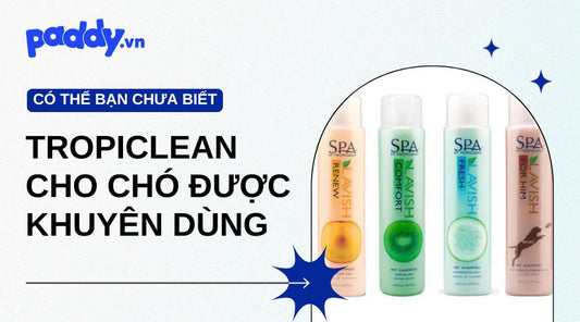 Sữa Tắm Tropiclean Được Các Chuyên Gia Thú Y Khuyên Dùng - Paddy Pet Shop