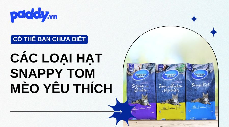 Tổng Hợp Các Loại Hạt Snappy Tom Được Mèo Yêu Thích - Paddy Pet Shop