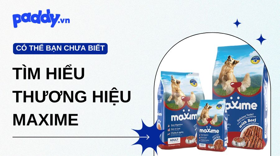 Tìm hiểu thương hiệu Maxime - Bí quyết chăm sóc thú cưng chuyên nghiệp
